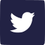 Twitter Logo